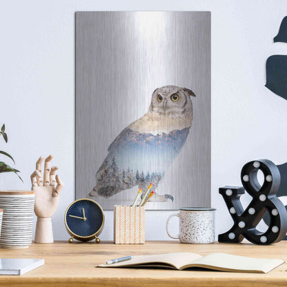 Luxe Metal Art 'Snow Owl I' by Clean Nature, Metal Wall Art,12x16