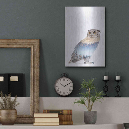 Luxe Metal Art 'Snow Owl I' by Clean Nature, Metal Wall Art,12x16