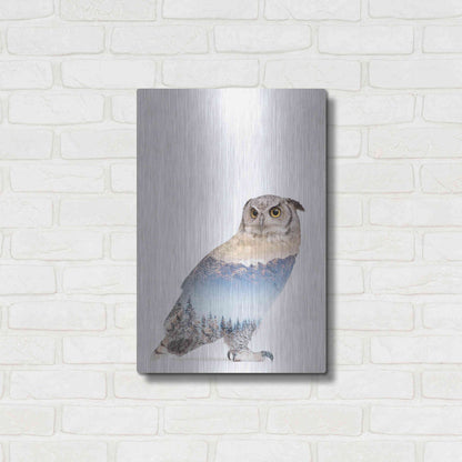 Luxe Metal Art 'Snow Owl I' by Clean Nature, Metal Wall Art,16x24