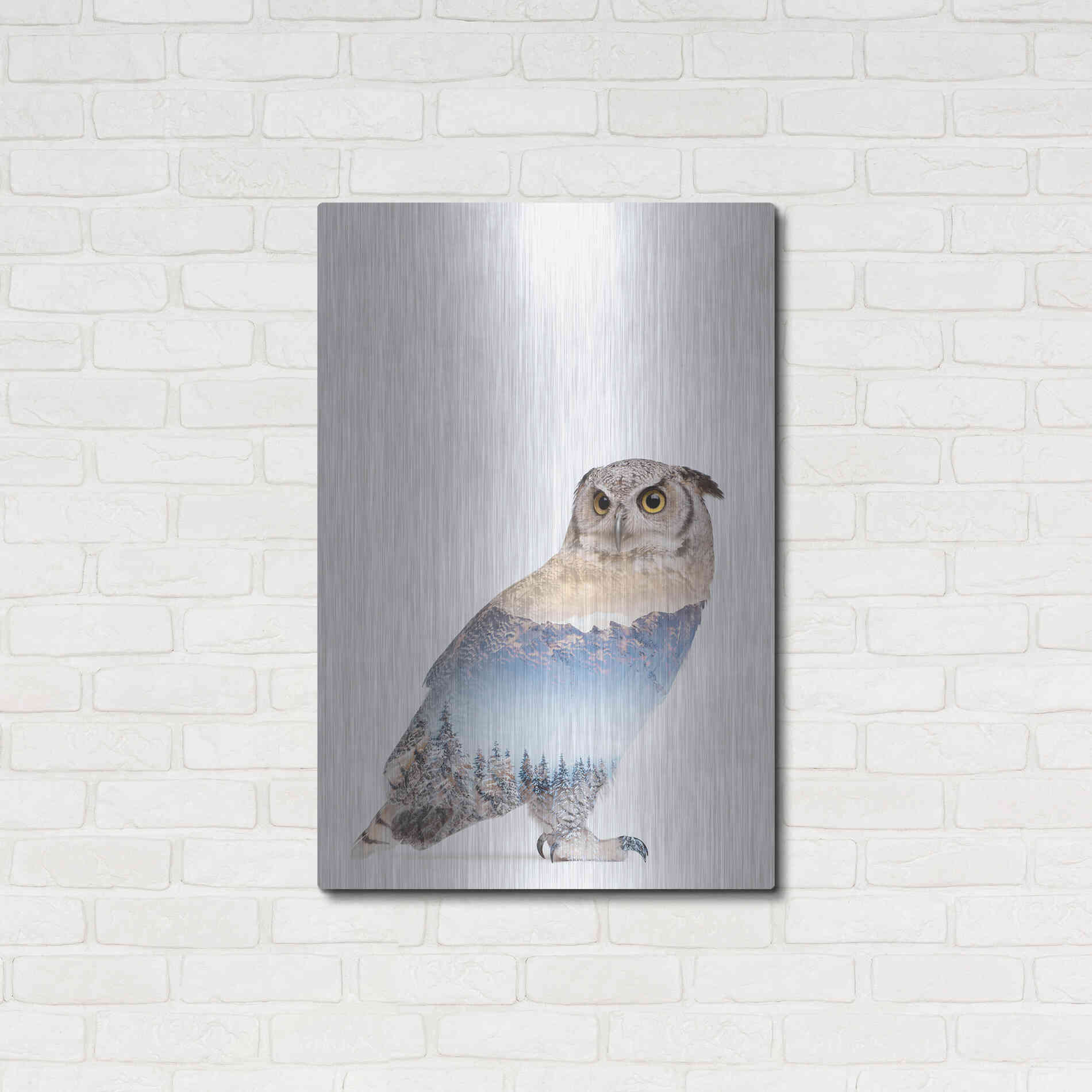 Luxe Metal Art 'Snow Owl I' by Clean Nature, Metal Wall Art,24x36