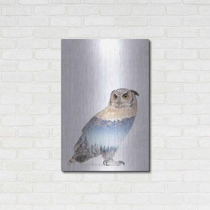 Luxe Metal Art 'Snow Owl I' by Clean Nature, Metal Wall Art,24x36