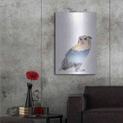 Luxe Metal Art 'Snow Owl I' by Clean Nature, Metal Wall Art,24x36