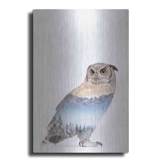 Luxe Metal Art 'Snow Owl I' by Clean Nature, Metal Wall Art