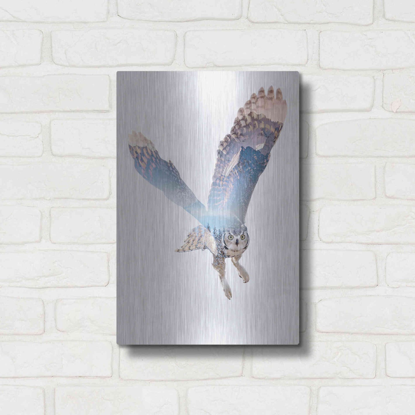 Luxe Metal Art 'Snow Owl II' by Clean Nature, Metal Wall Art,12x16