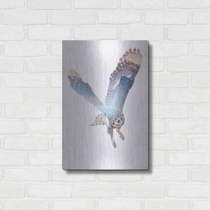 Luxe Metal Art 'Snow Owl II' by Clean Nature, Metal Wall Art,16x24