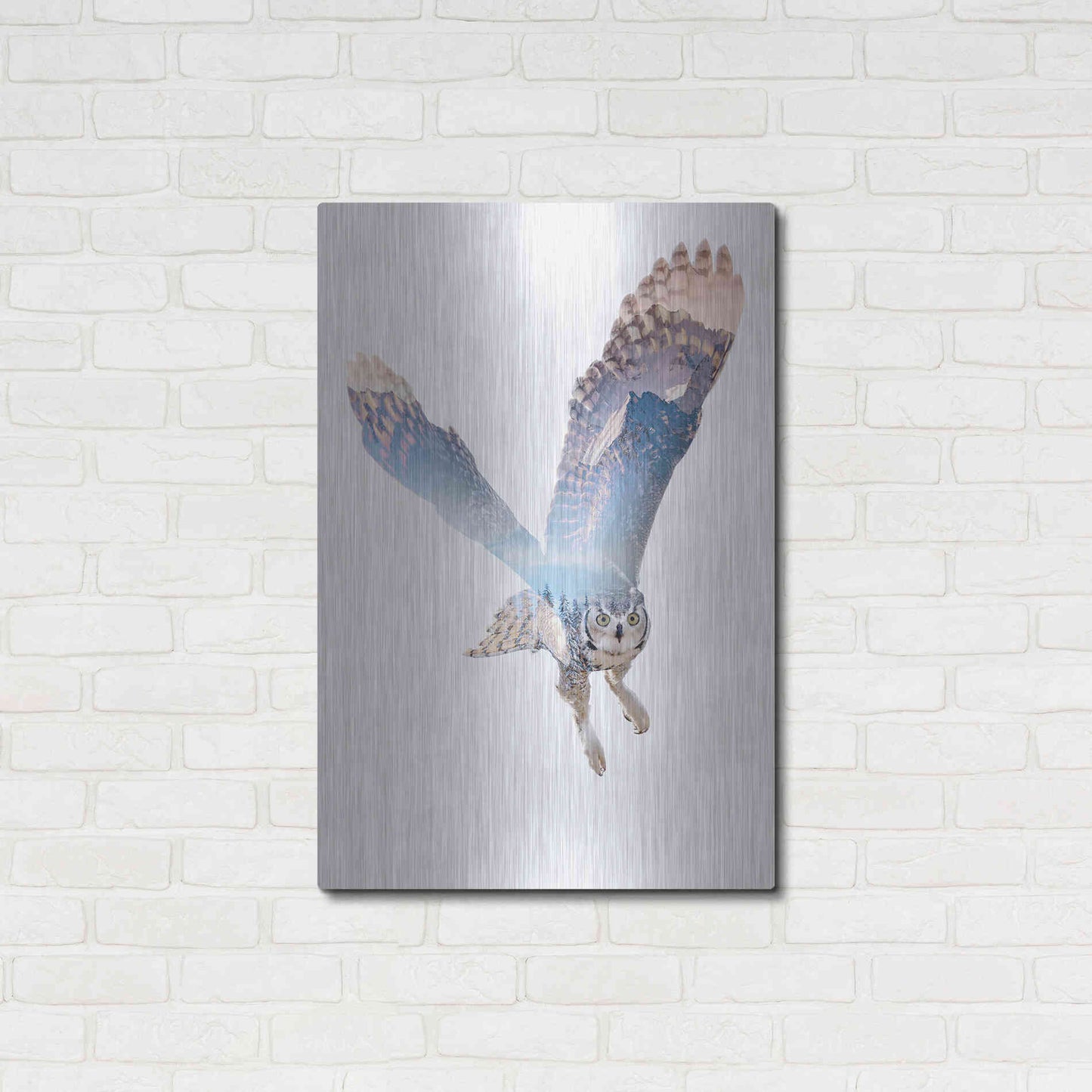 Luxe Metal Art 'Snow Owl II' by Clean Nature, Metal Wall Art,24x36