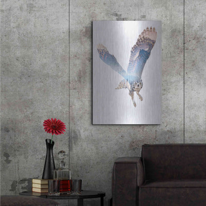 Luxe Metal Art 'Snow Owl II' by Clean Nature, Metal Wall Art,24x36