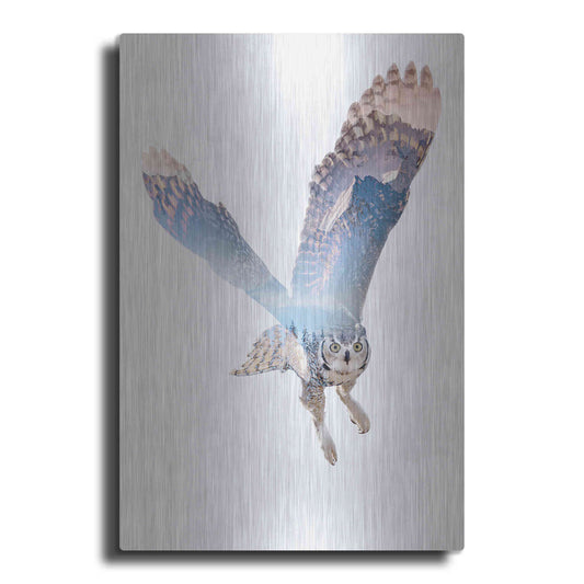 Luxe Metal Art 'Snow Owl II' by Clean Nature, Metal Wall Art