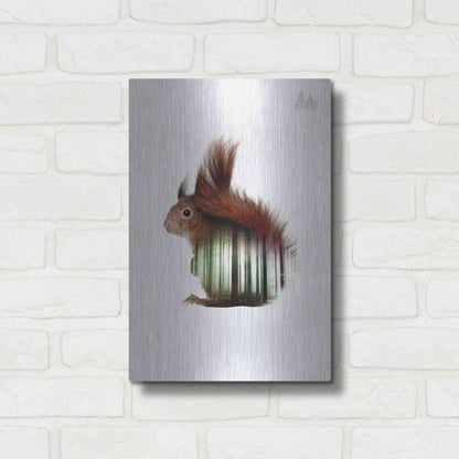 Luxe Metal Art 'Squirrel' by Clean Nature, Metal Wall Art,12x16