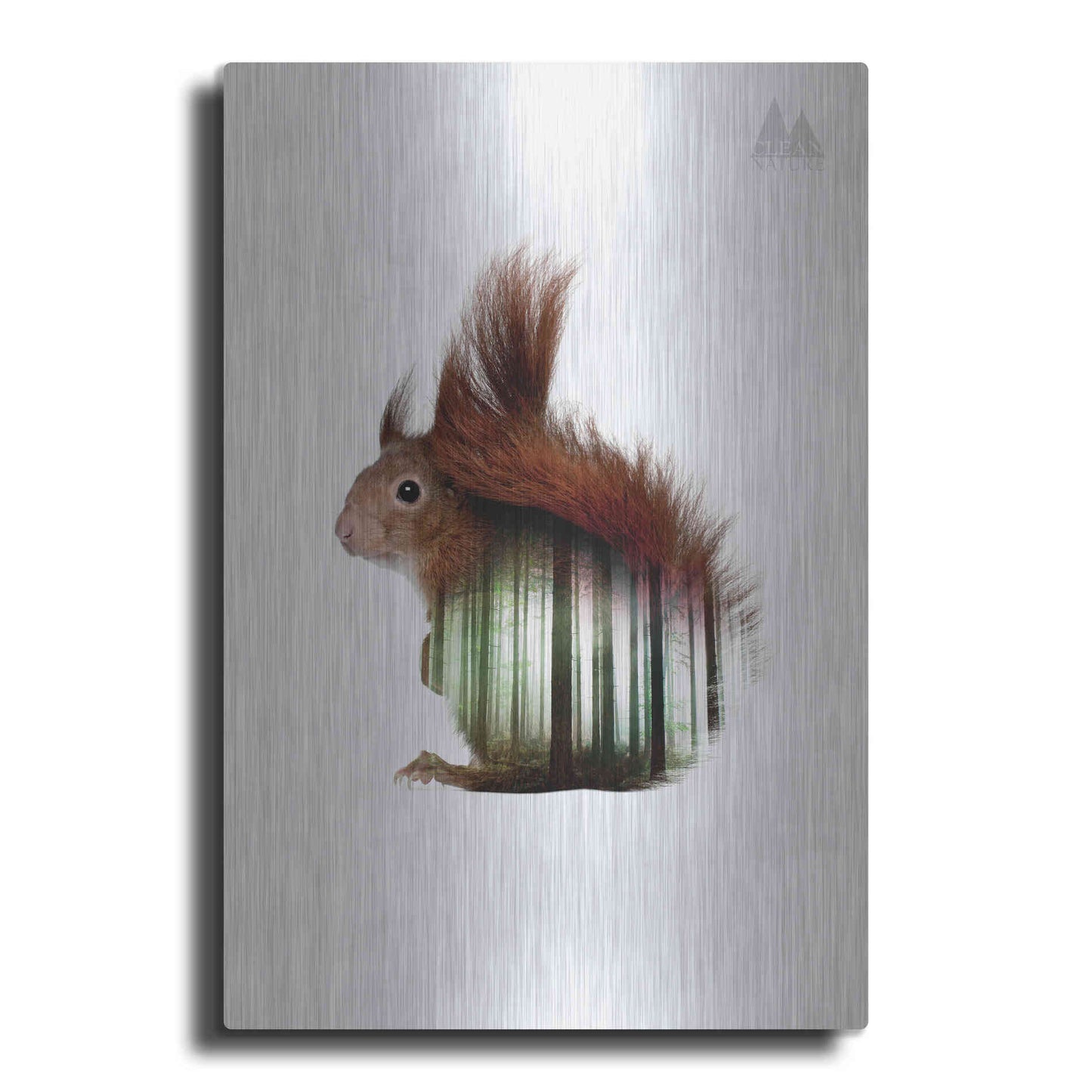 Luxe Metal Art 'Squirrel' by Clean Nature, Metal Wall Art