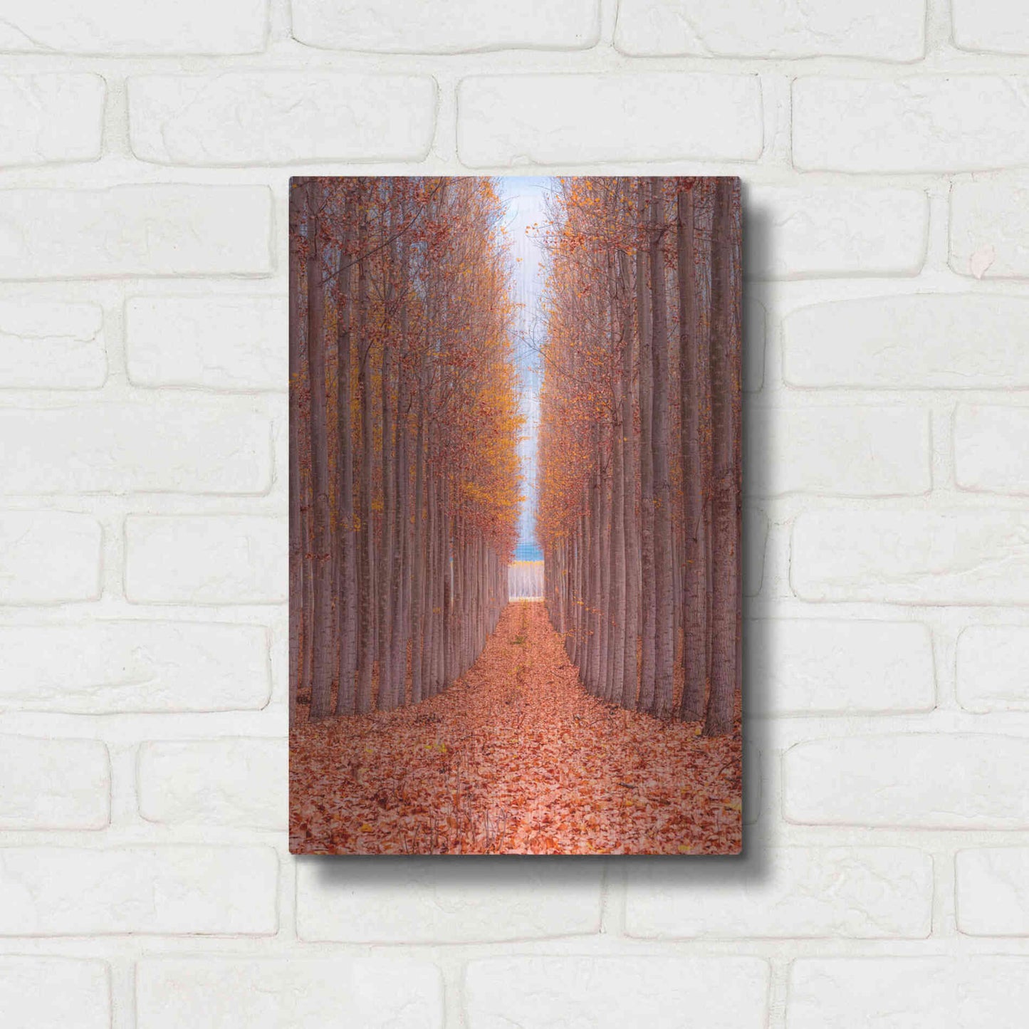 Luxe Metal Art 'Tree Farm' by Bruce Getty, Metal Wall Art,12x16