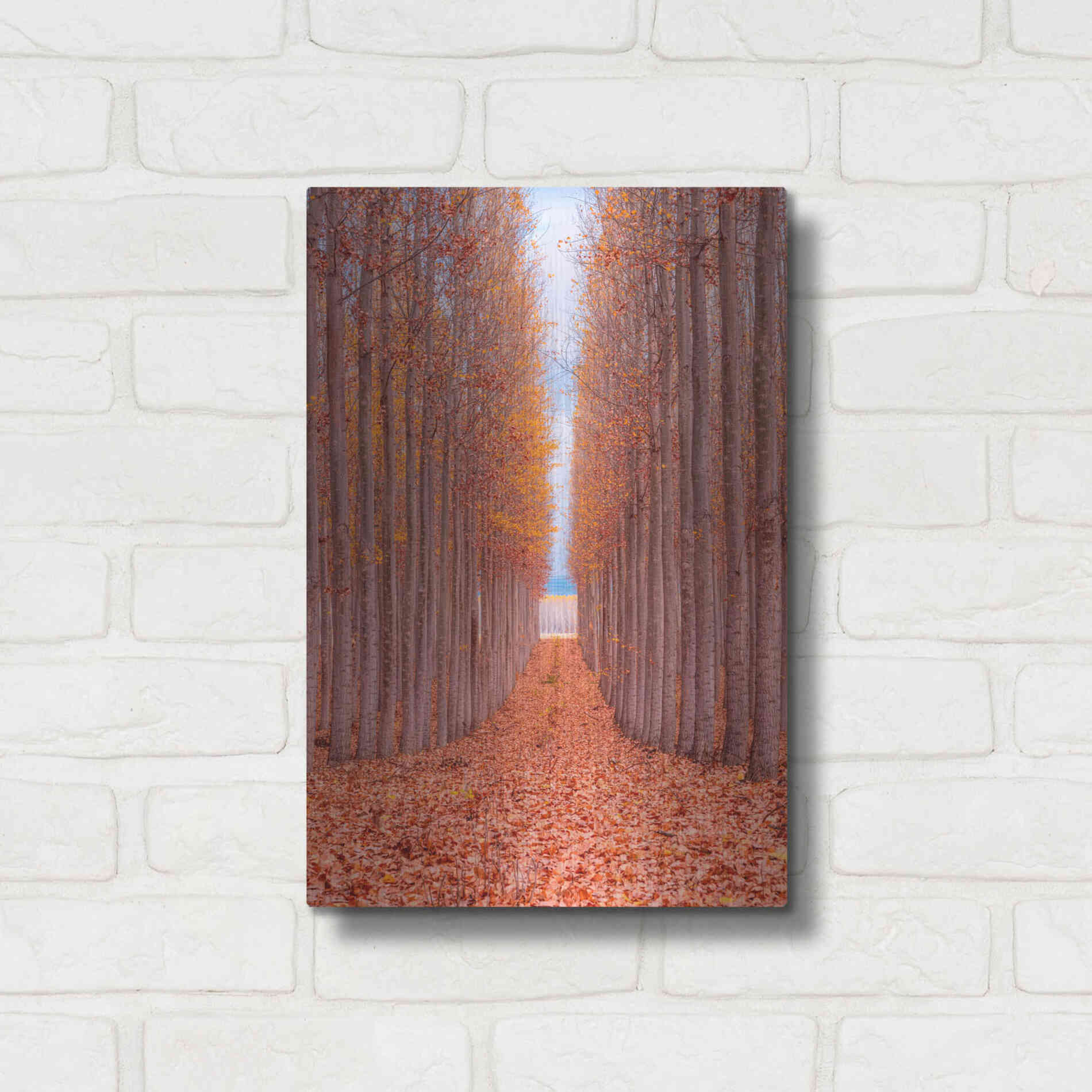 Luxe Metal Art 'Tree Farm' by Bruce Getty, Metal Wall Art,12x16