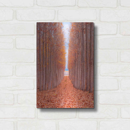 Luxe Metal Art 'Tree Farm' by Bruce Getty, Metal Wall Art,12x16