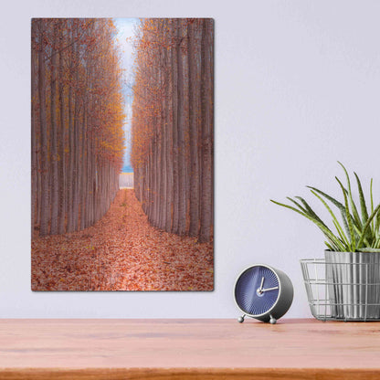Luxe Metal Art 'Tree Farm' by Bruce Getty, Metal Wall Art,12x16