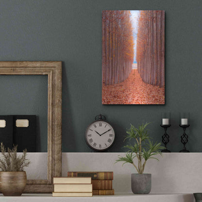 Luxe Metal Art 'Tree Farm' by Bruce Getty, Metal Wall Art,12x16