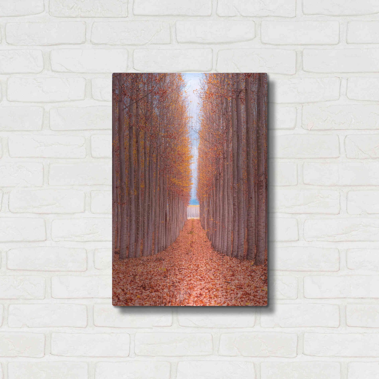 Luxe Metal Art 'Tree Farm' by Bruce Getty, Metal Wall Art,16x24