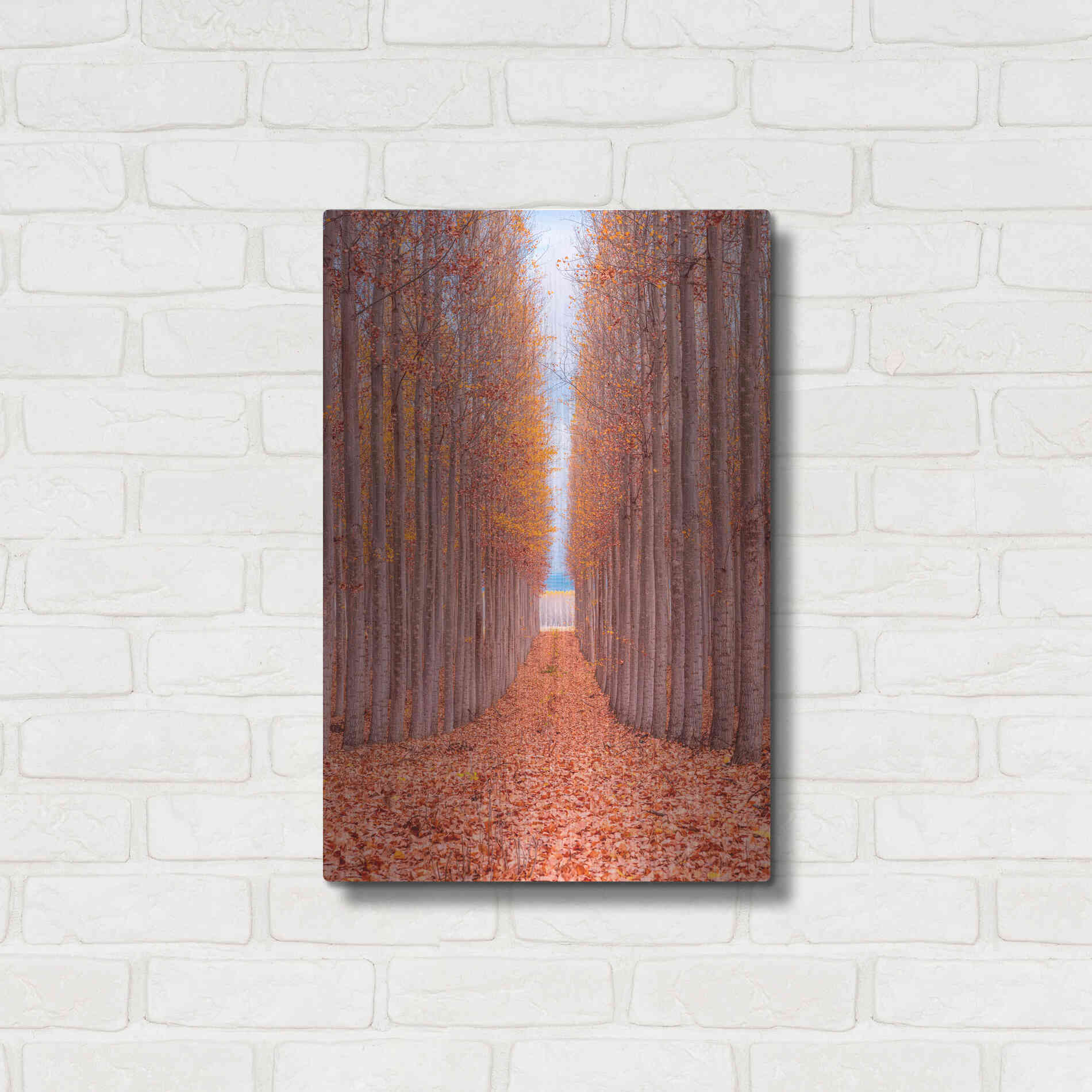 Luxe Metal Art 'Tree Farm' by Bruce Getty, Metal Wall Art,16x24