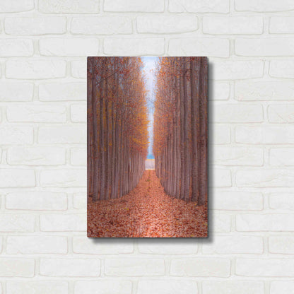 Luxe Metal Art 'Tree Farm' by Bruce Getty, Metal Wall Art,16x24