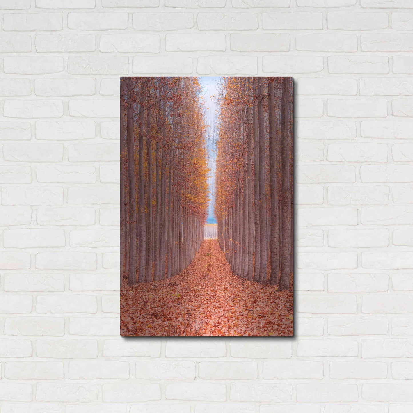 Luxe Metal Art 'Tree Farm' by Bruce Getty, Metal Wall Art,24x36
