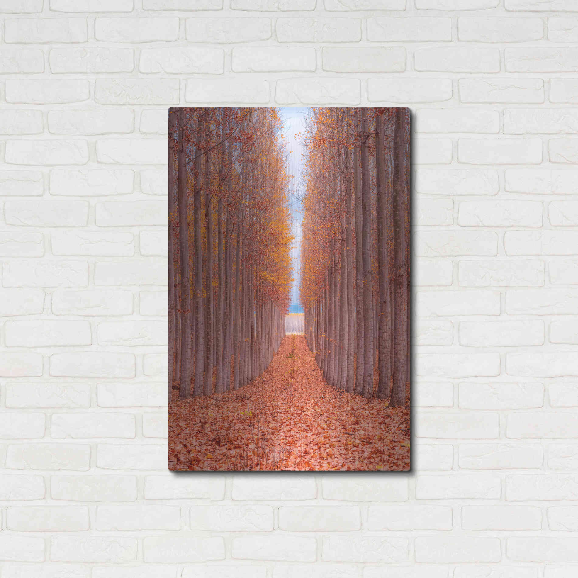 Luxe Metal Art 'Tree Farm' by Bruce Getty, Metal Wall Art,24x36