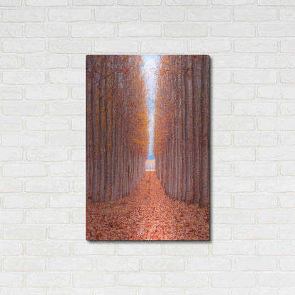 Luxe Metal Art 'Tree Farm' by Bruce Getty, Metal Wall Art,24x36
