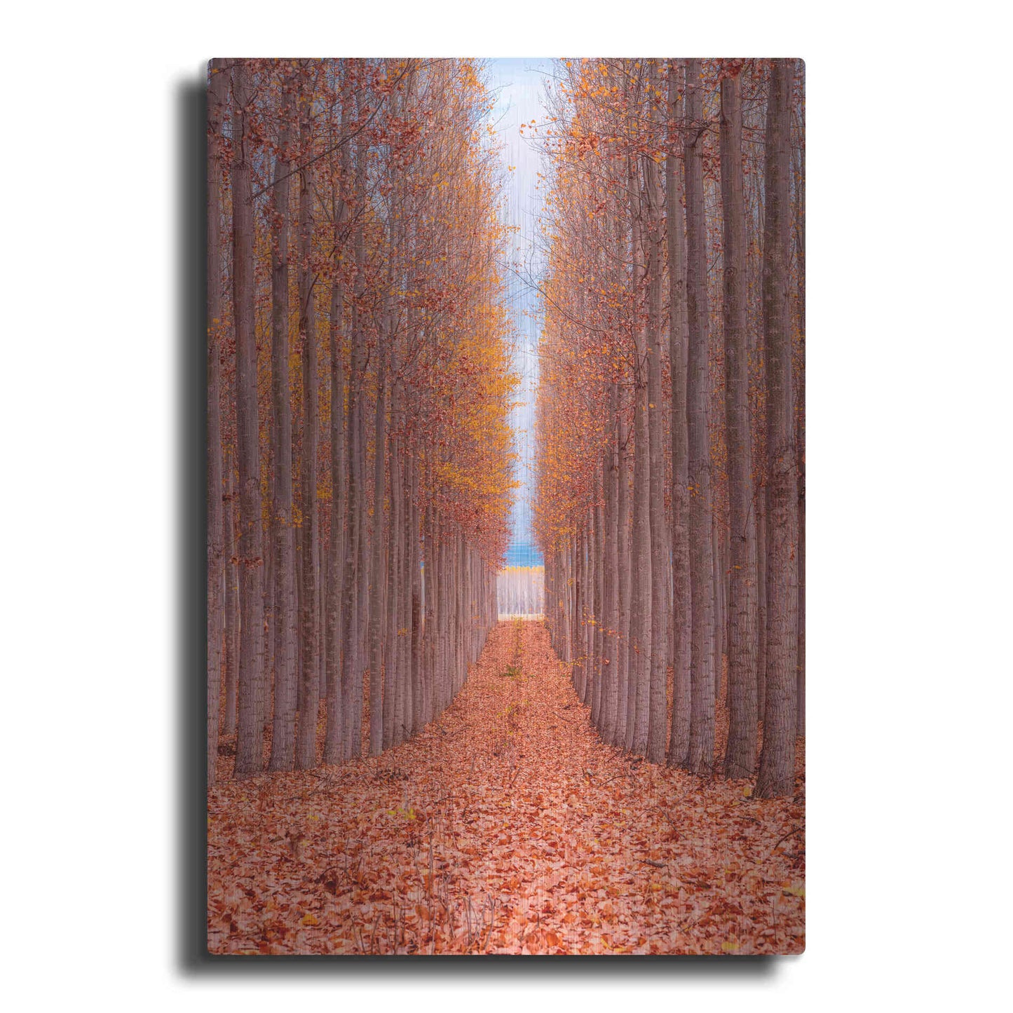 Luxe Metal Art 'Tree Farm' by Bruce Getty, Metal Wall Art