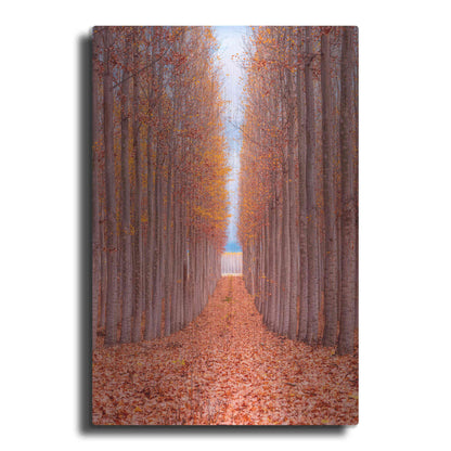 Luxe Metal Art 'Tree Farm' by Bruce Getty, Metal Wall Art