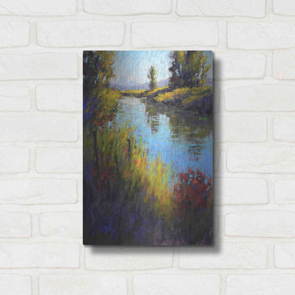 Luxe Metal Art 'Looking Down the Slough' by Alejandra Goss, Metal Wall Art,12x16