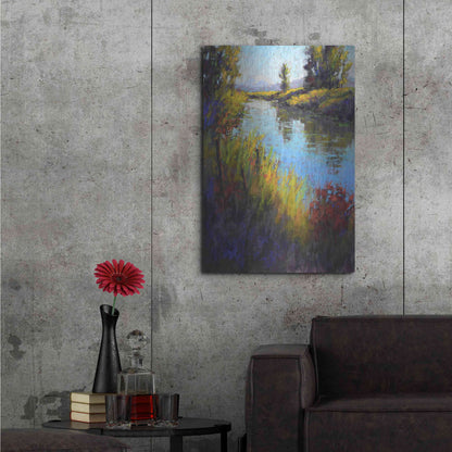 Luxe Metal Art 'Looking Down the Slough' by Alejandra Goss, Metal Wall Art,24x36