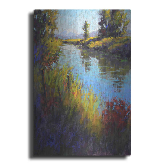 Luxe Metal Art 'Looking Down the Slough' by Alejandra Goss, Metal Wall Art