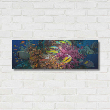 Luxe Metal Art 'Passage to Sea' Metal Wall Art,36x12