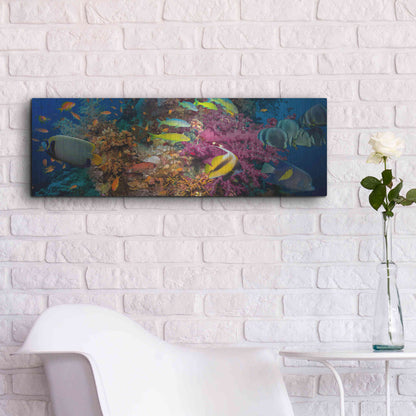 Luxe Metal Art 'Passage to Sea' Metal Wall Art,36x12