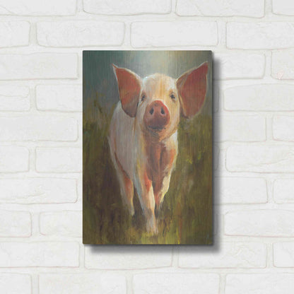 Luxe Metal Art 'Morning Pig' by Cari J Humphry, Metal Wall Art,12x16