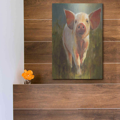 Luxe Metal Art 'Morning Pig' by Cari J Humphry, Metal Wall Art,12x16