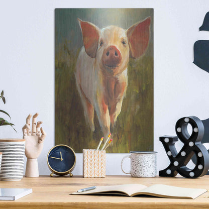 Luxe Metal Art 'Morning Pig' by Cari J Humphry, Metal Wall Art,12x16