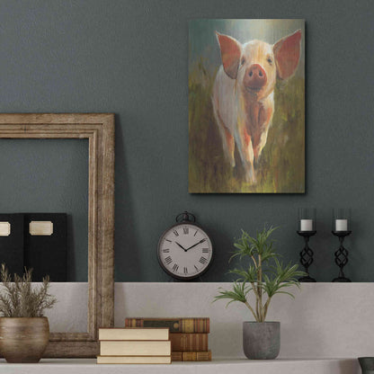 Luxe Metal Art 'Morning Pig' by Cari J Humphry, Metal Wall Art,12x16