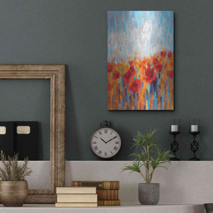 Luxe Metal Art 'Poppy Walk' by Claire Hardy, Metal Wall Art,12x16