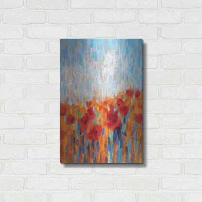 Luxe Metal Art 'Poppy Walk' by Claire Hardy, Metal Wall Art,16x24