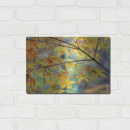 Luxe Metal Art 'Autumn Maples' by David Hammond, Metal Wall Art,16x12