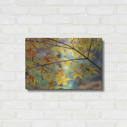 Luxe Metal Art 'Autumn Maples' by David Hammond, Metal Wall Art,24x16