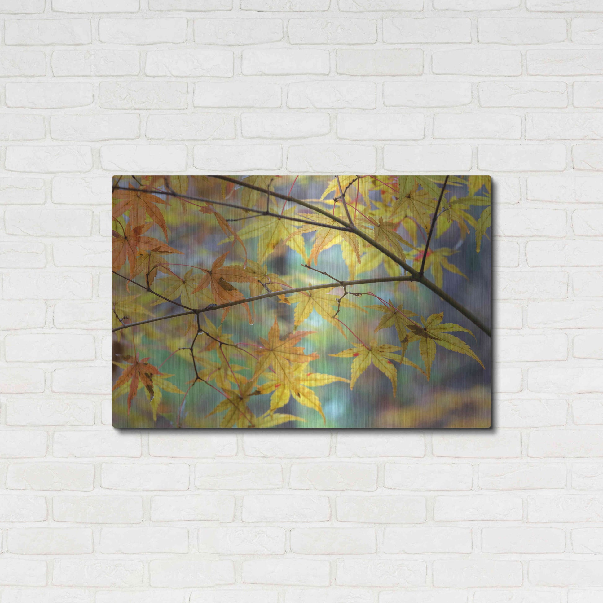 Luxe Metal Art 'Autumn Maples' by David Hammond, Metal Wall Art,36x24