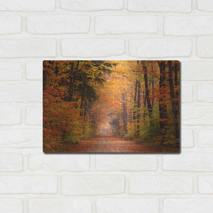 Luxe Metal Art 'Autumn Road' by David Hammond, Metal Wall Art,16x12