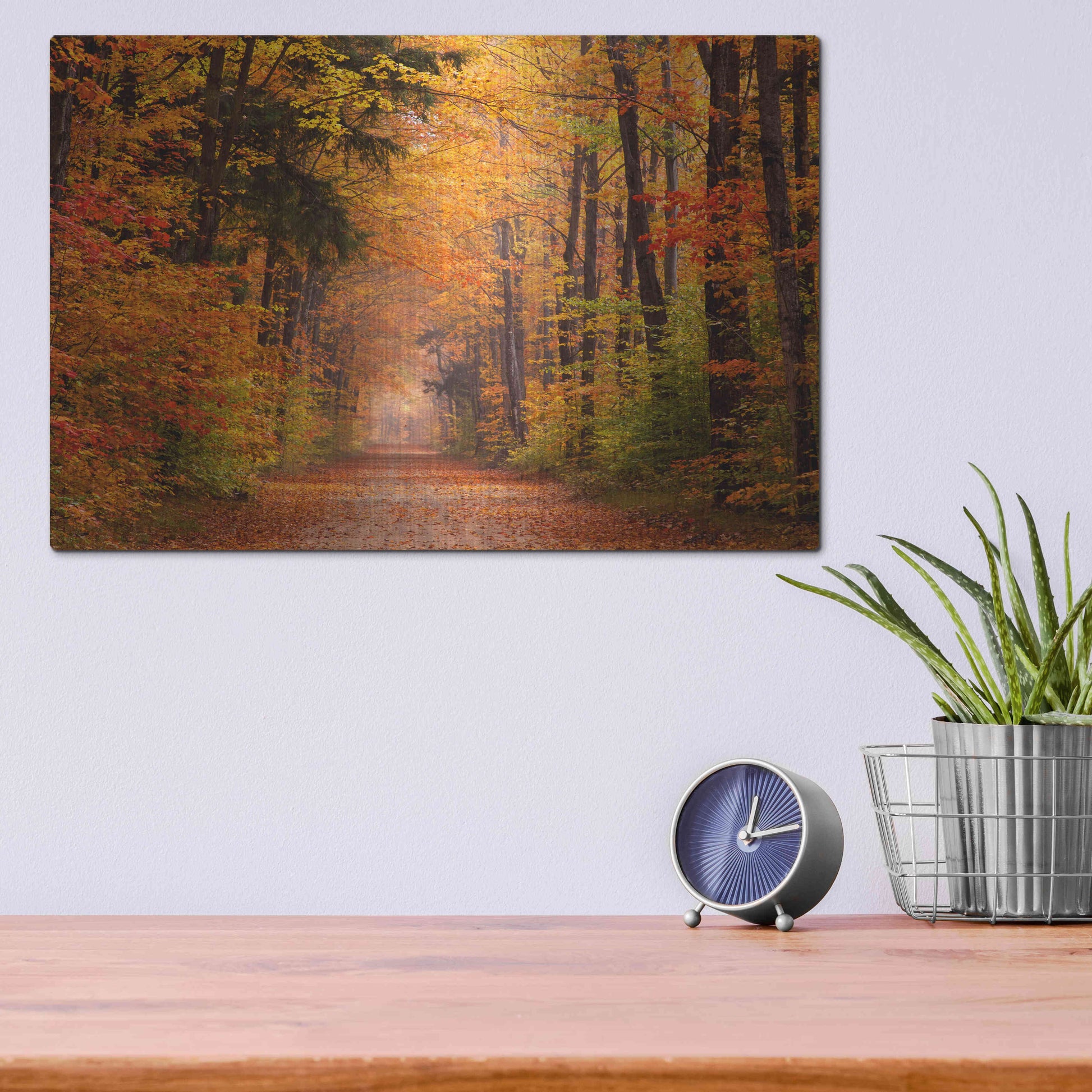 Luxe Metal Art 'Autumn Road' by David Hammond, Metal Wall Art,16x12