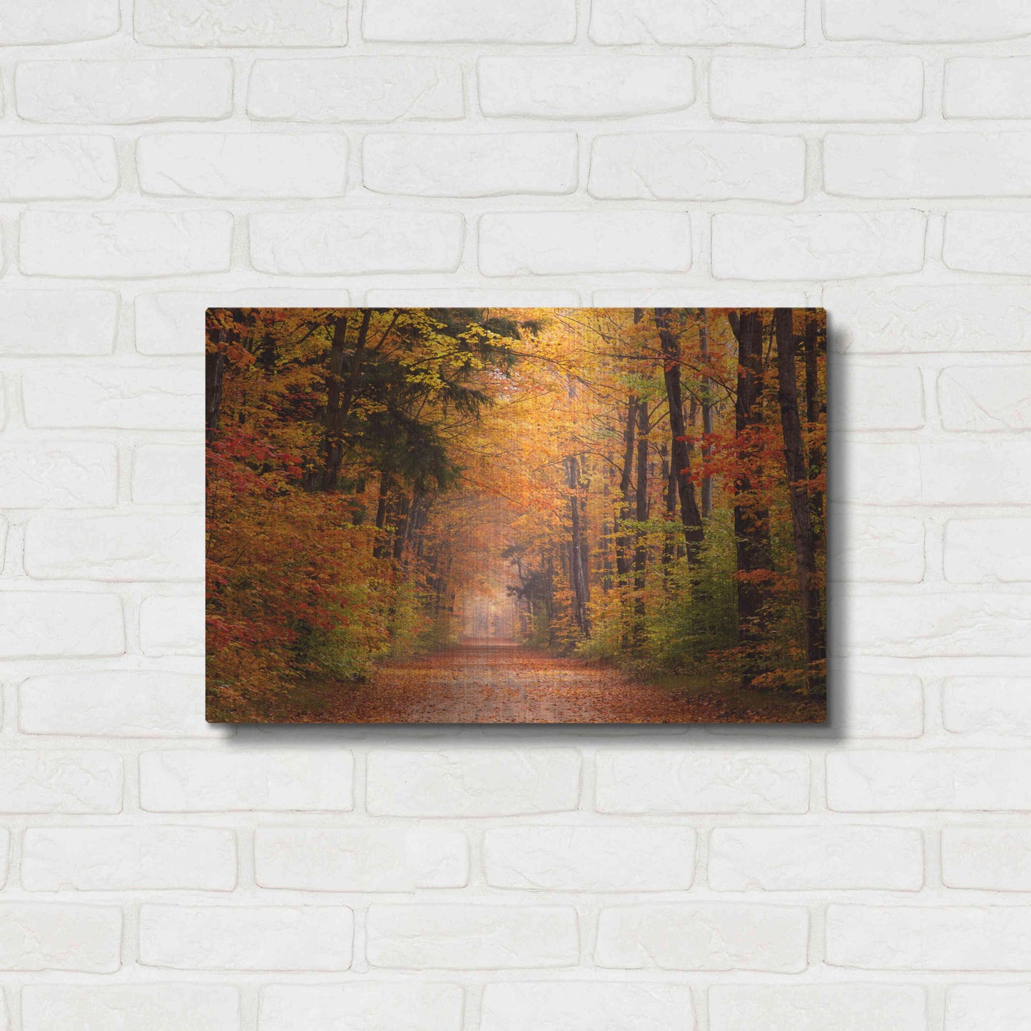 Luxe Metal Art 'Autumn Road' by David Hammond, Metal Wall Art,24x16