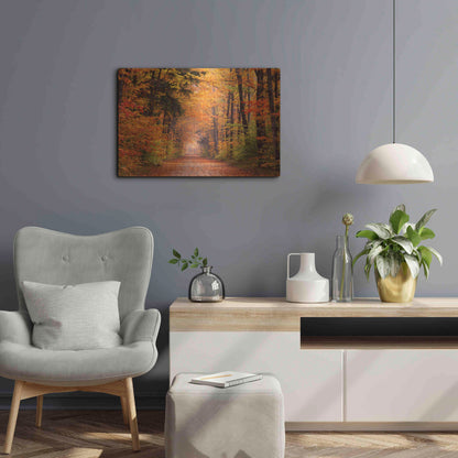 Luxe Metal Art 'Autumn Road' by David Hammond, Metal Wall Art,24x16