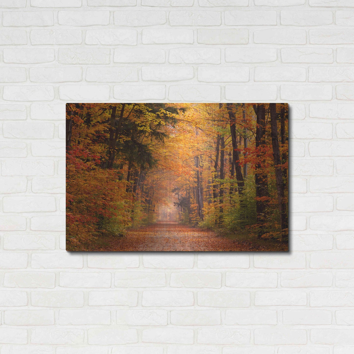 Luxe Metal Art 'Autumn Road' by David Hammond, Metal Wall Art,36x24