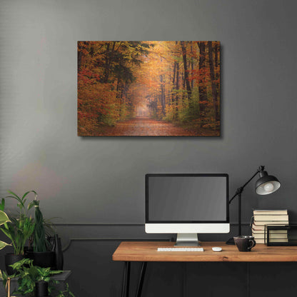 Luxe Metal Art 'Autumn Road' by David Hammond, Metal Wall Art,36x24