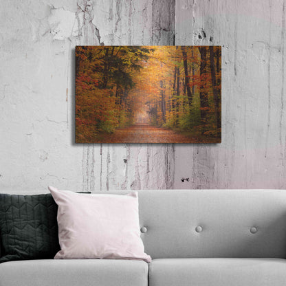 Luxe Metal Art 'Autumn Road' by David Hammond, Metal Wall Art,36x24