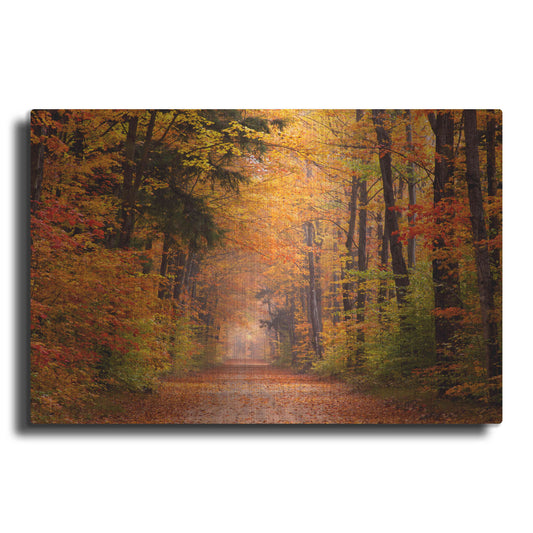 Luxe Metal Art 'Autumn Road' by David Hammond, Metal Wall Art