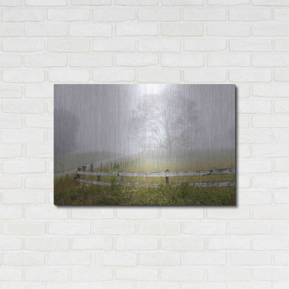 Luxe Metal Art 'Foggy Rural Scene' by David Hammond, Metal Wall Art,36x24